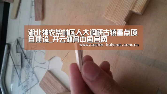 湖北神农架林区人大调研古镇重点项目建设_开云体育中国官网(图1) 开元棋牌