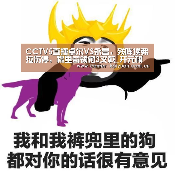 开云体育中国官网